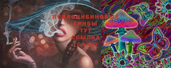 ешки Богородск