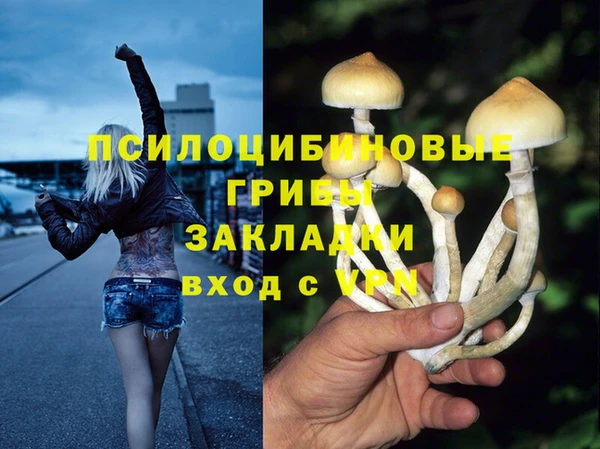 а пвп мука Богданович
