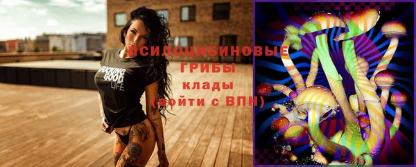 ешки Богородск