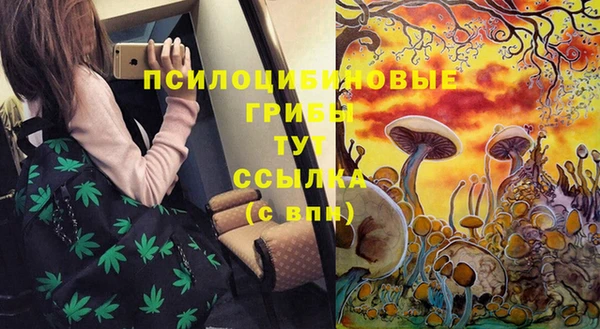 ешки Богородск