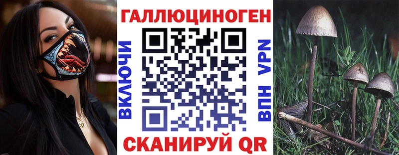 Галлюциногенные грибы GOLDEN TEACHER  Купить  Слободской 