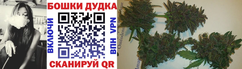 Купить где Слободской Канабис SATIVA & INDICA